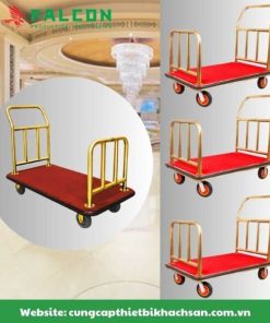 Xe đẩy đồ giúp khách hàng trong việc sắp xếp đồ đạc